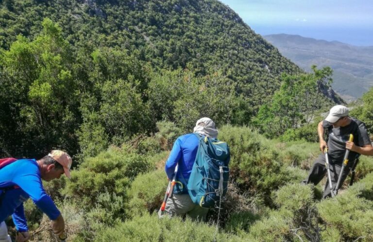 Μεσσηνία: Καθαρισμός μονοπατιού με τον ΕΟΣ Καλαμάτας
