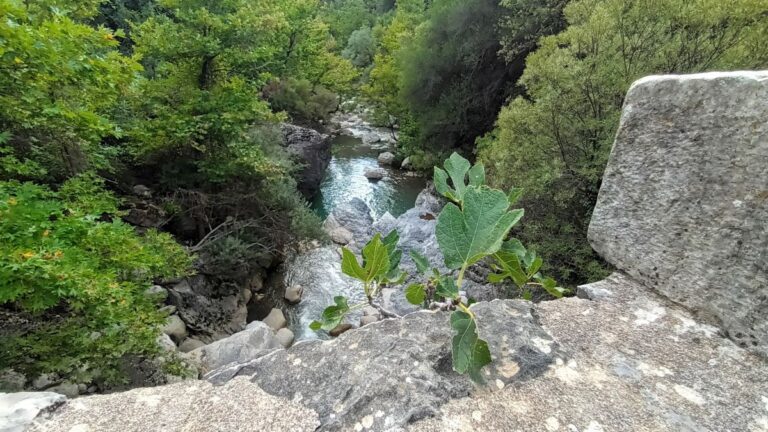 Λακωνία: Εξόρμηση ΕΟΣ Σπάρτης σε Στεμνίτσα – Δημητσάνα