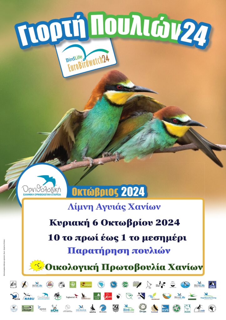 Χανιά: Η γιορτή των πουλιών στη Λίμνη της Αγιάς
