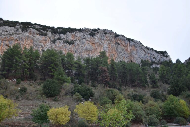 Διεξήχθη το 1ο αναρριχητικό φεστιβάλ της Νεστάνης