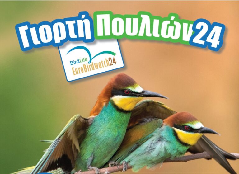 Στην Ευρωπαϊκή Γιορτή Πουλιών συμμετέχει η Λέσβος
