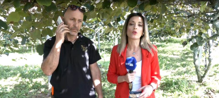 Μυλότοπος Πέλλας: Του έκλεψαν τρεις τόνους ακτινίδια από το χωράφι