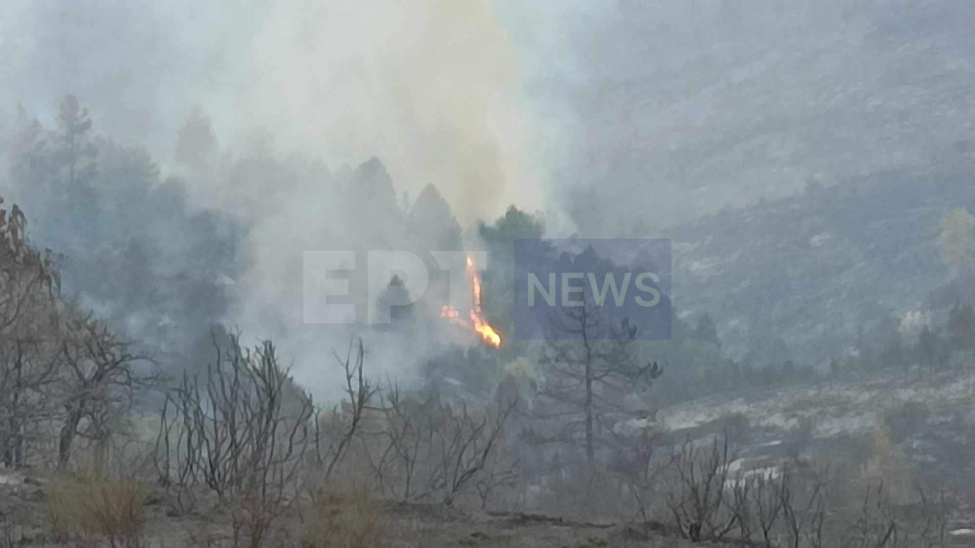 Προθεσμία 48 ωρών έλαβε ο αντιδήμαρχος Ξυλοκάστρου – Ευρωστίνης για να δώσει εξηγήσεις για την πυρκαγιά στην Κορινθία