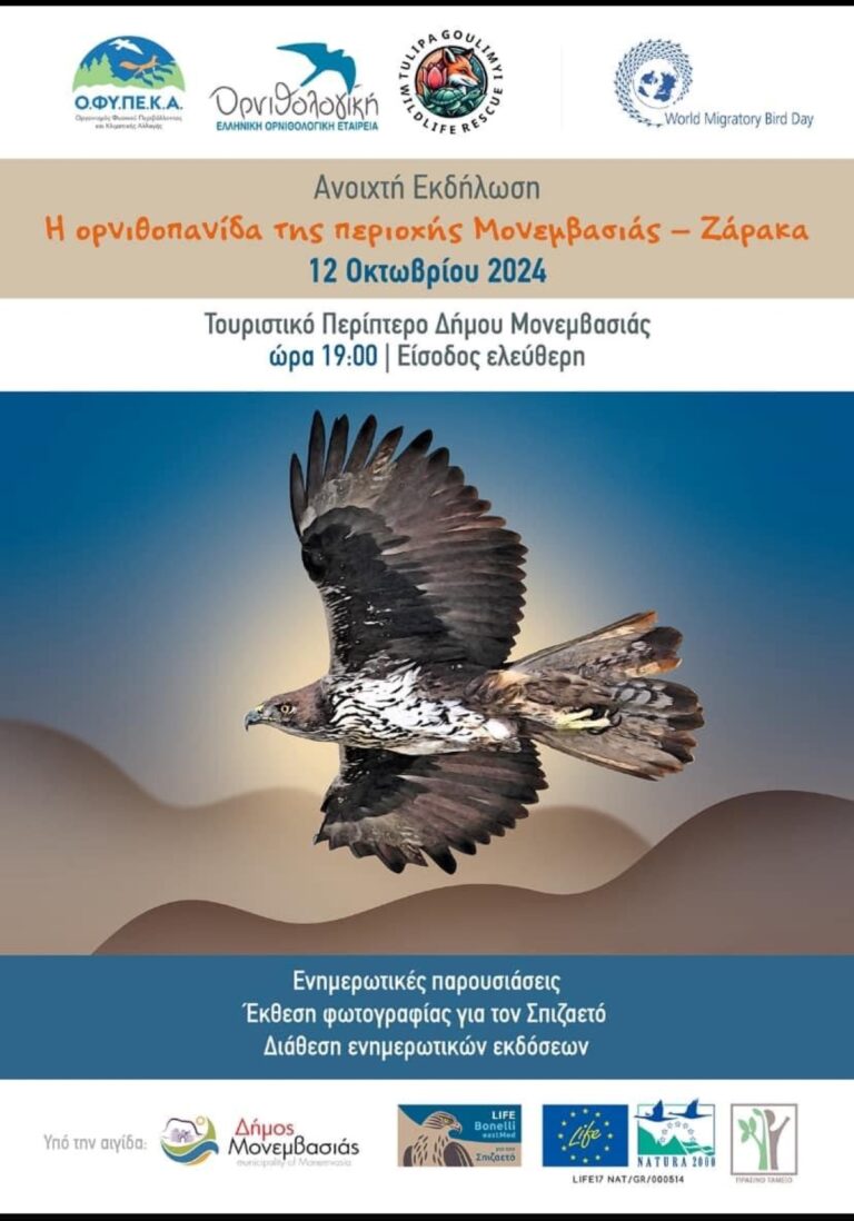 Δράση για την ορνιθοπανίδα της Μονεμβασιάς και του Ζάρακα