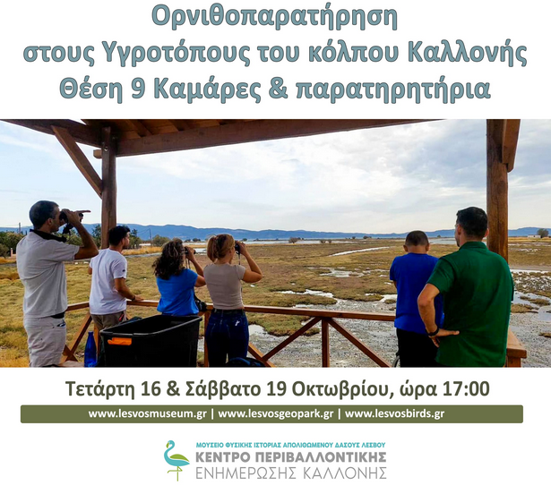 Νέες εξορμήσεις παρατήρησης πουλιών στους υδροβιότοπους της Λέσβου