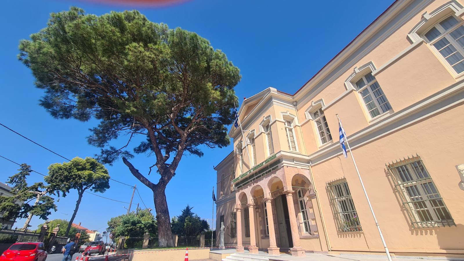 Μυτιλήνη: Η ενεργοποίηση των κατοίκων έσωσε το αιωνόβιο δέντρο στη Γ.Γ. Αιγαίου