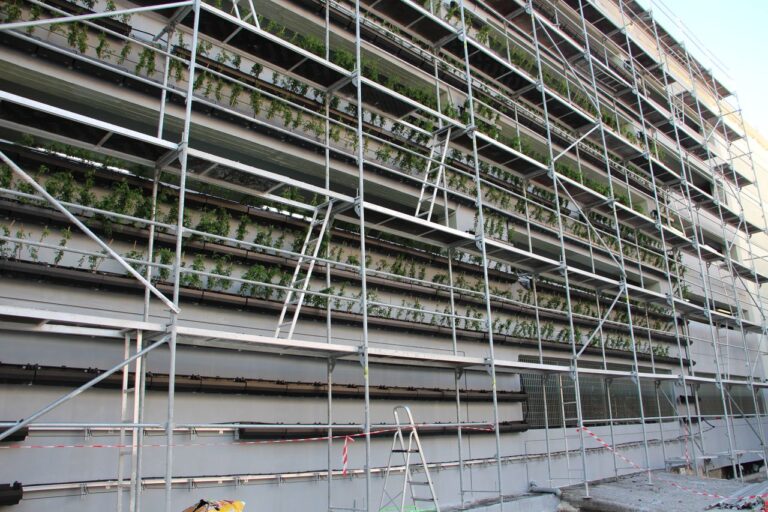 Χανιά: 3.000 γιασεμιά στον τοίχο του Δημοτικού Πάρκινγκ ΚΥΔΩΝ με τη συμμετοχή μικρών μαθητών από σχολεία του Δήμου