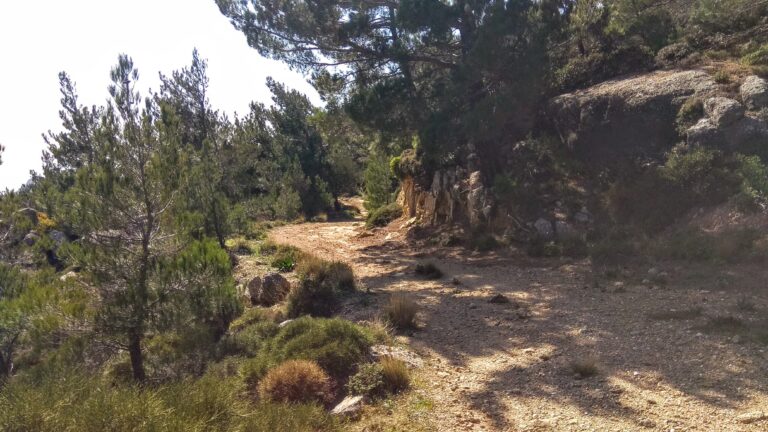 Το πρόγραμμα και οι δράσεις της 7ης Πανελλήνιας Συνάντησης Μονοπατιών στα Χανιά