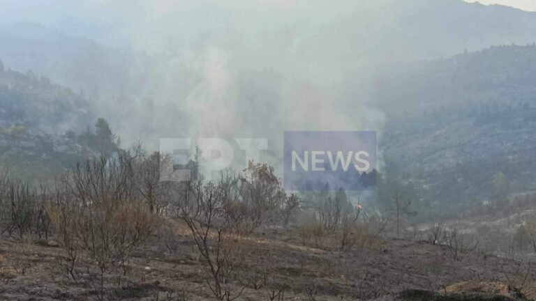 Χωρίς ενεργό μέτωπο η Κορινθία: Αποκαρδιωτική η εικόνα της καταστροφής – Ανοιχτά την Πέμπτη τα σχολεία στο Ξυλόκαστρο (βίντεο)