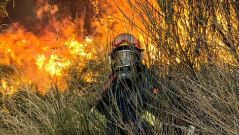 Τσουκαλάς: Μονομέτωπος αγώνας του ΠΑΣΟΚ απέναντι στη ΝΔ
