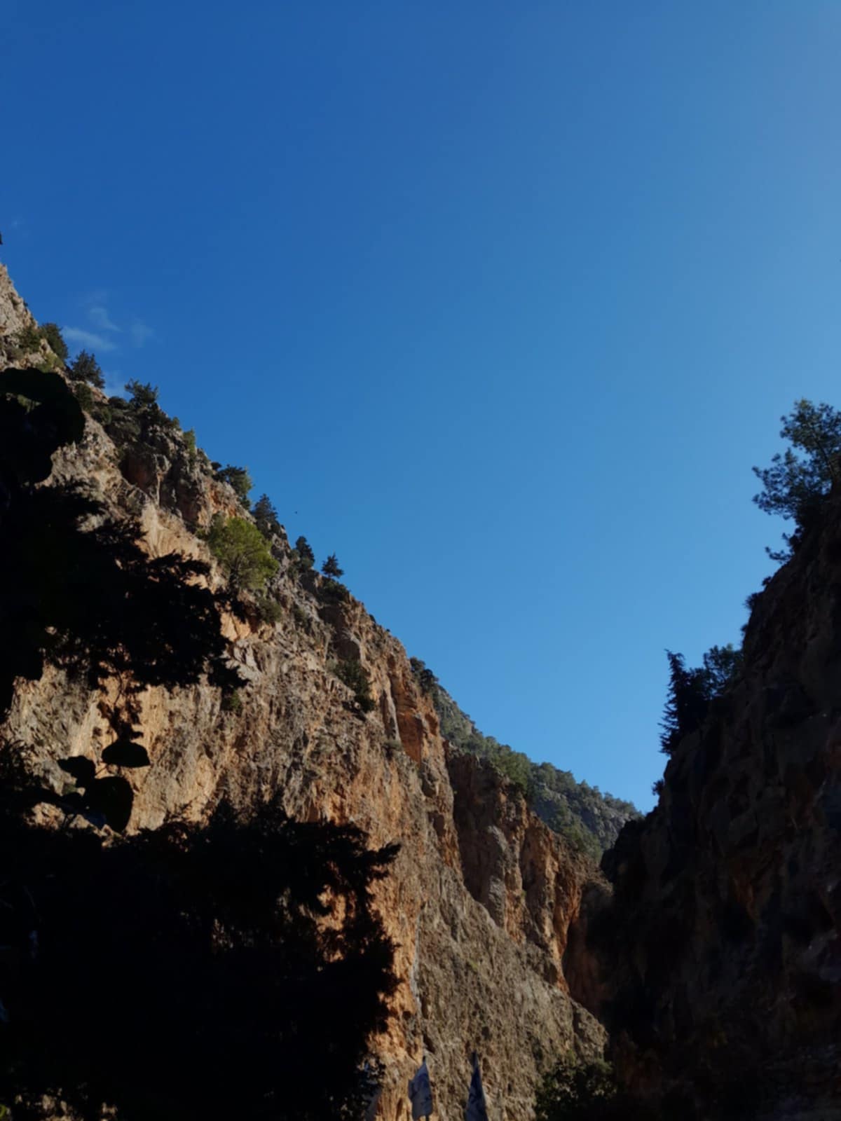 Τετραήμερη αυτοψία στο φαράγγι της Σαμαριάς – Ανοικτός ο Εθνικός Δρυμός τη Δευτέρα
