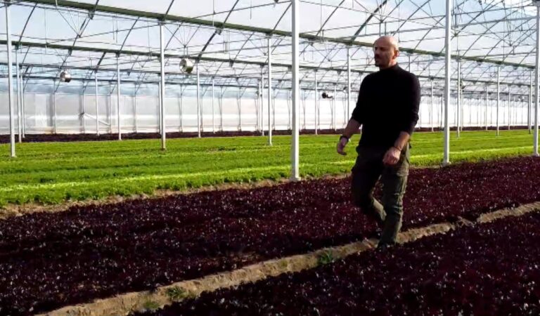 «Από το Χωράφι, στο Ράφι» – Η νέα εκπομπή της ΕΡΤ3