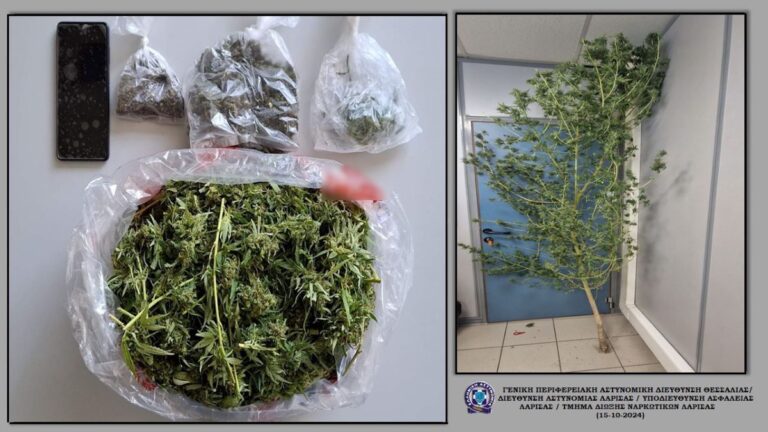 Λάρισα: Σύλληψη για καλλιέργεια κάνναβης και οπλοκατοχή