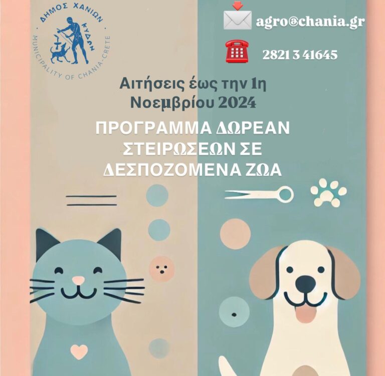 Δωρεάν στειρώσεις σε δεσποζόμενα ζώα συντροφιάς από τον Δήμο Χανίων – Για τρίτη χρονιά το πρόγραμμα