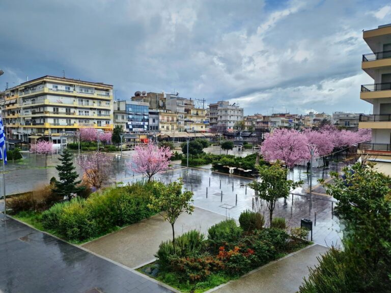 Ορεστιάδα: Με συμμετοχή 76 επιχειρήσεων δημιουργείται το «Orestiada Open Mall»