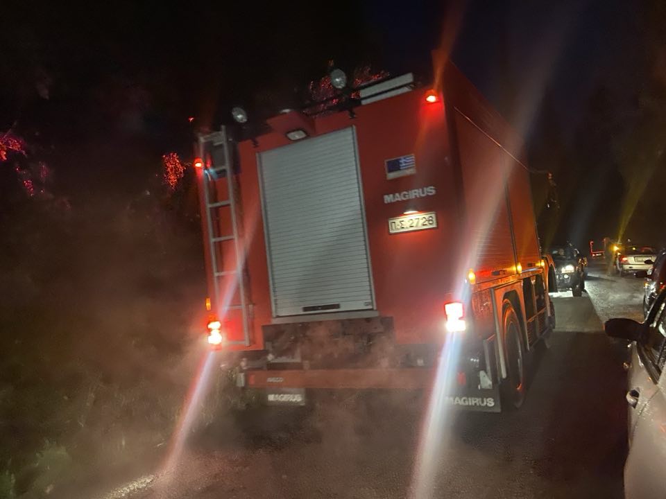 Χανιά: Νεκρός 80χρονος στον Αποκόρωνα – Καταπλακώθηκε από δέντρο