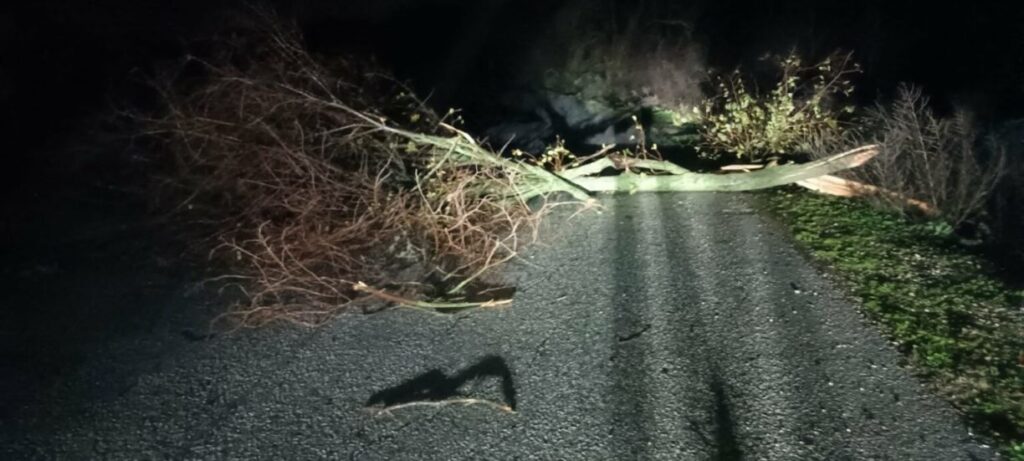 Σοβαρές ζημιές στην δυτική Θεσσαλία από τους ισχυρούς ανέμους