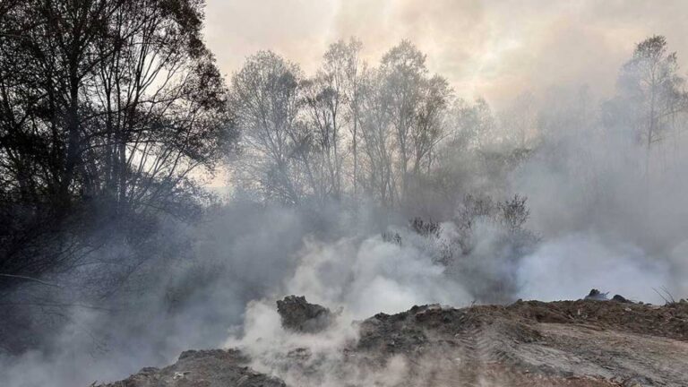 Φλώρινα: Κατάσβεση φωτιάς στην Κοινότητα Αμμοχωρίου – Έκκληση για τήρηση των κανόνων