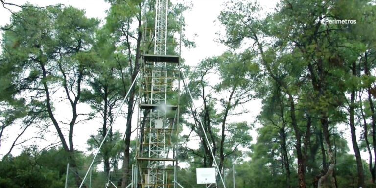 Δεντρόμετρα  καταγράφουν την προσαρμογή των δέντρων στην κλιματική αλλαγή 
