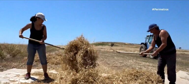 Βιολογικό ταχίνι στην «Μάντρα της Αθηνάς»
