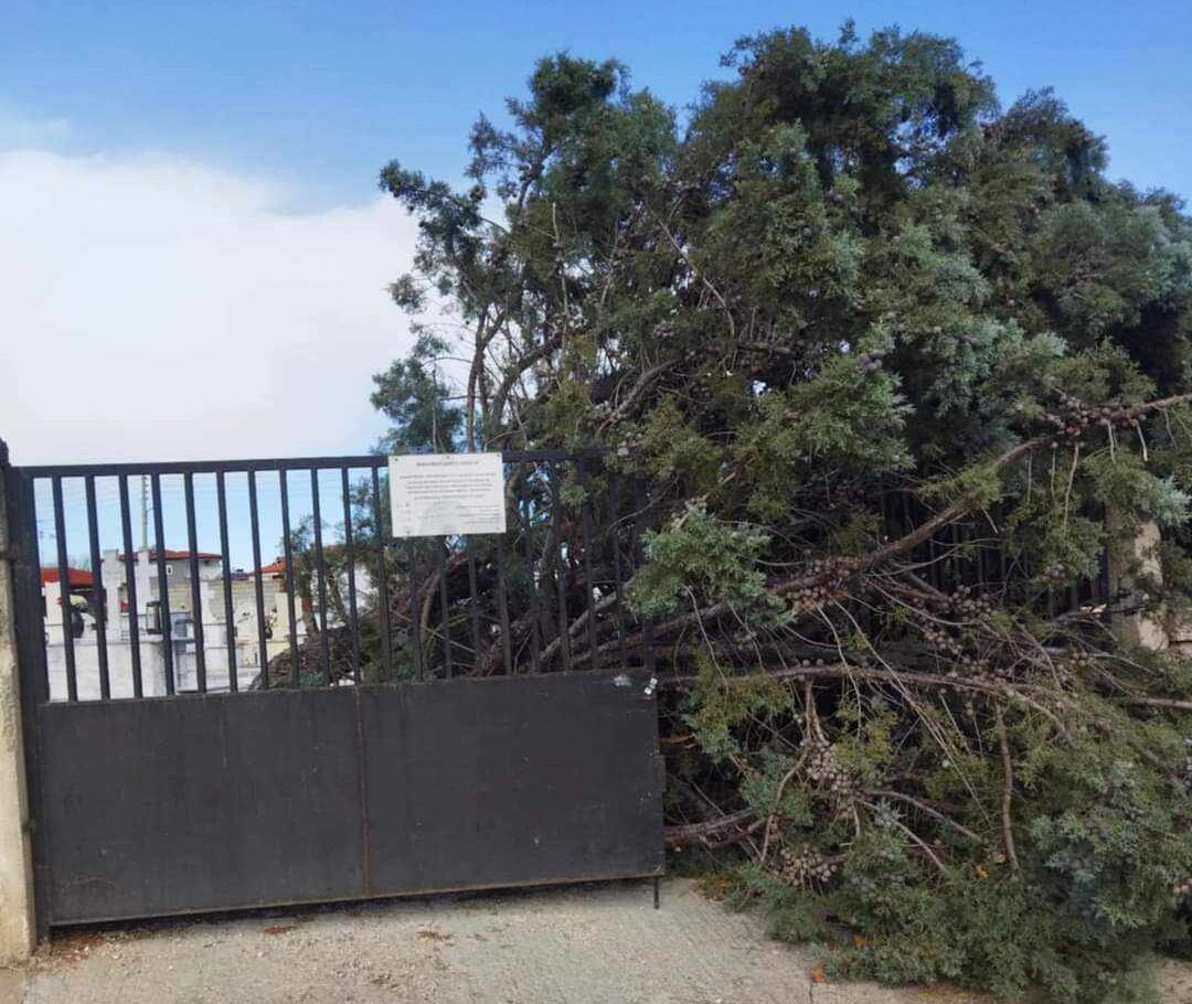 Κοζάνη: Τσουχτερό κρύο, ισχυροί άνεμοι και  έντονη βροχόπτωση   
