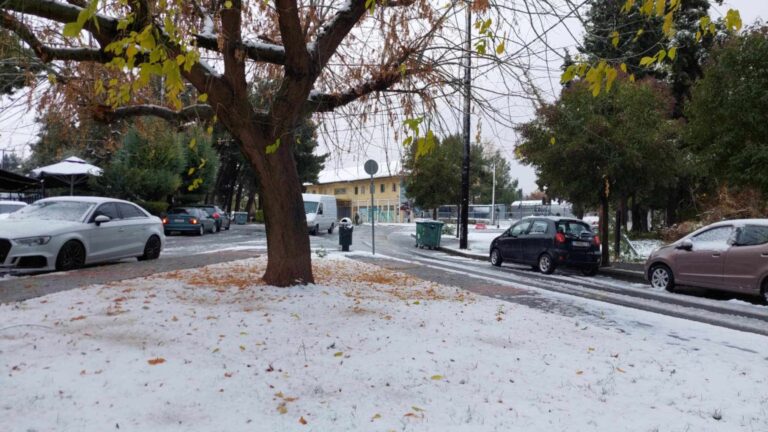 Κοζάνη: Χωρίς προβλήματα τα πρώτα χιόνια – Η κατάσταση του οδικού δικτύου στη Δυτική Μακεδονία