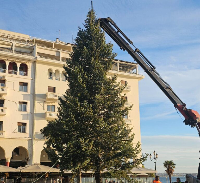 Θεσσαλονίκη: Έφτασε το χριστουγεννιάτικο δέντρο στην Αριστοτέλους– Ξεκίνησε ο στολισμός