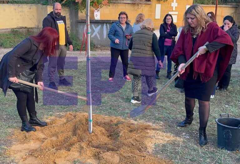 Δενδροφύτευση στο όνομα της “Ελευθερίας” και των αγώνων του Πολυτεχνείου