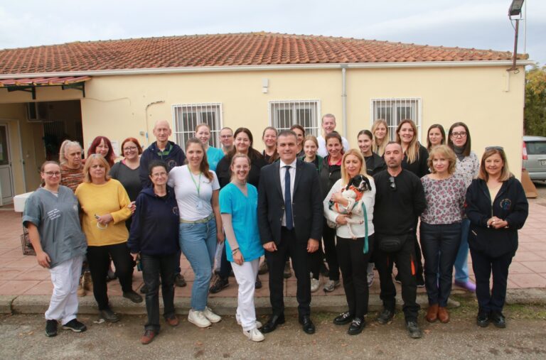 Λάρισα: Εθελοντές στείρωσαν περισσότερα από 100 σκυλιά και γάτες στο δημοτικό καταφύγιο