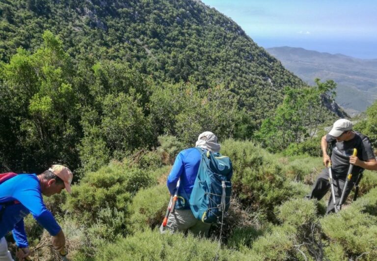 Μεσσηνία: Καθαρισμός μονοπατιού Πηγαδιών Ταϋγέτου