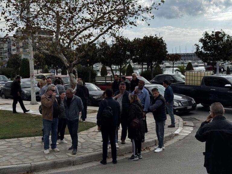 Βόλος: «Υγειονομική βόμβα» τα άρρωστα ζώα στο κοπάδι που επλήγη από την ευλογιά στο Διμήνι – Ζητούν λύση για την ταφή ή την καύση τους