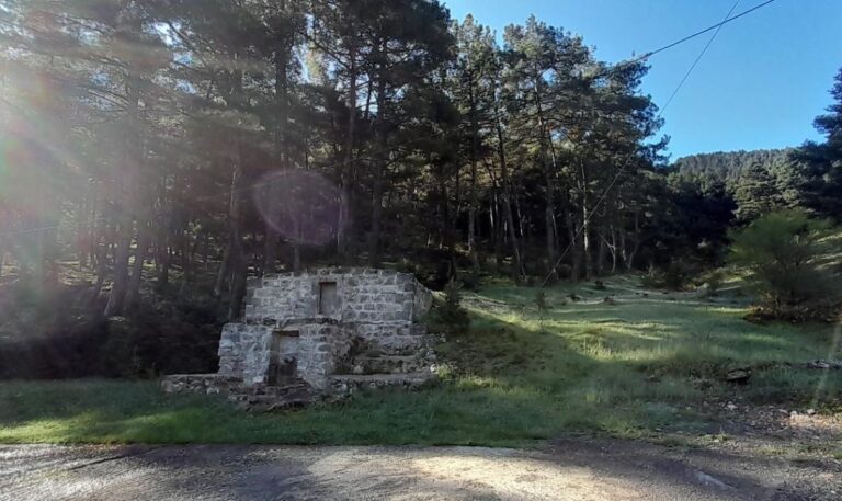 Μεσσηνία: Σ.Π.Ο.Κ. «Ο Ευκλής» εξόρμηση στο ελατοσκέπαστο Μαίναλο