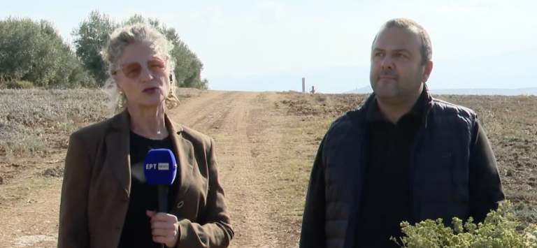 Αερινό Μαγνησίας: Μια οικογενειακή επιχείρηση που εξάγει βότανα σε όλο τον κόσμο
