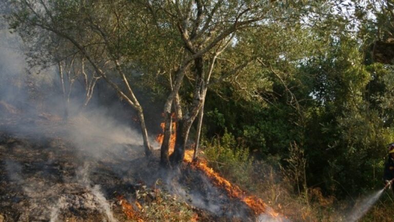 Χαλκιδική: Σε ύφεση η φωτιά στον Μάρμαρα- Στο σημείο δυνάμεις της Πυροσβεστικής