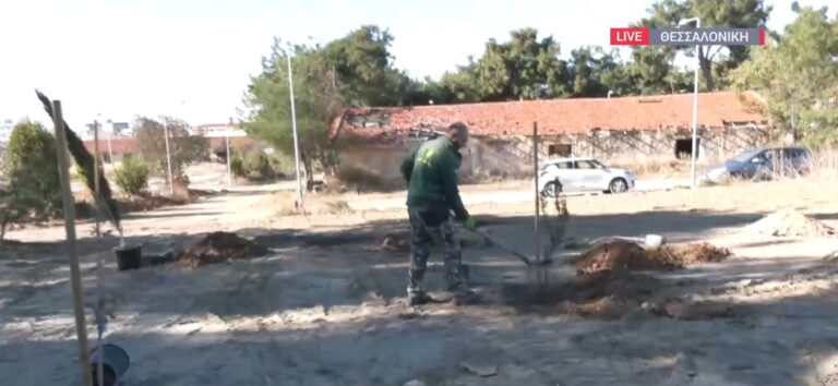 Θεσσαλονίκη: Άρχισε η δενδροφύτευση στο Π. Μελά