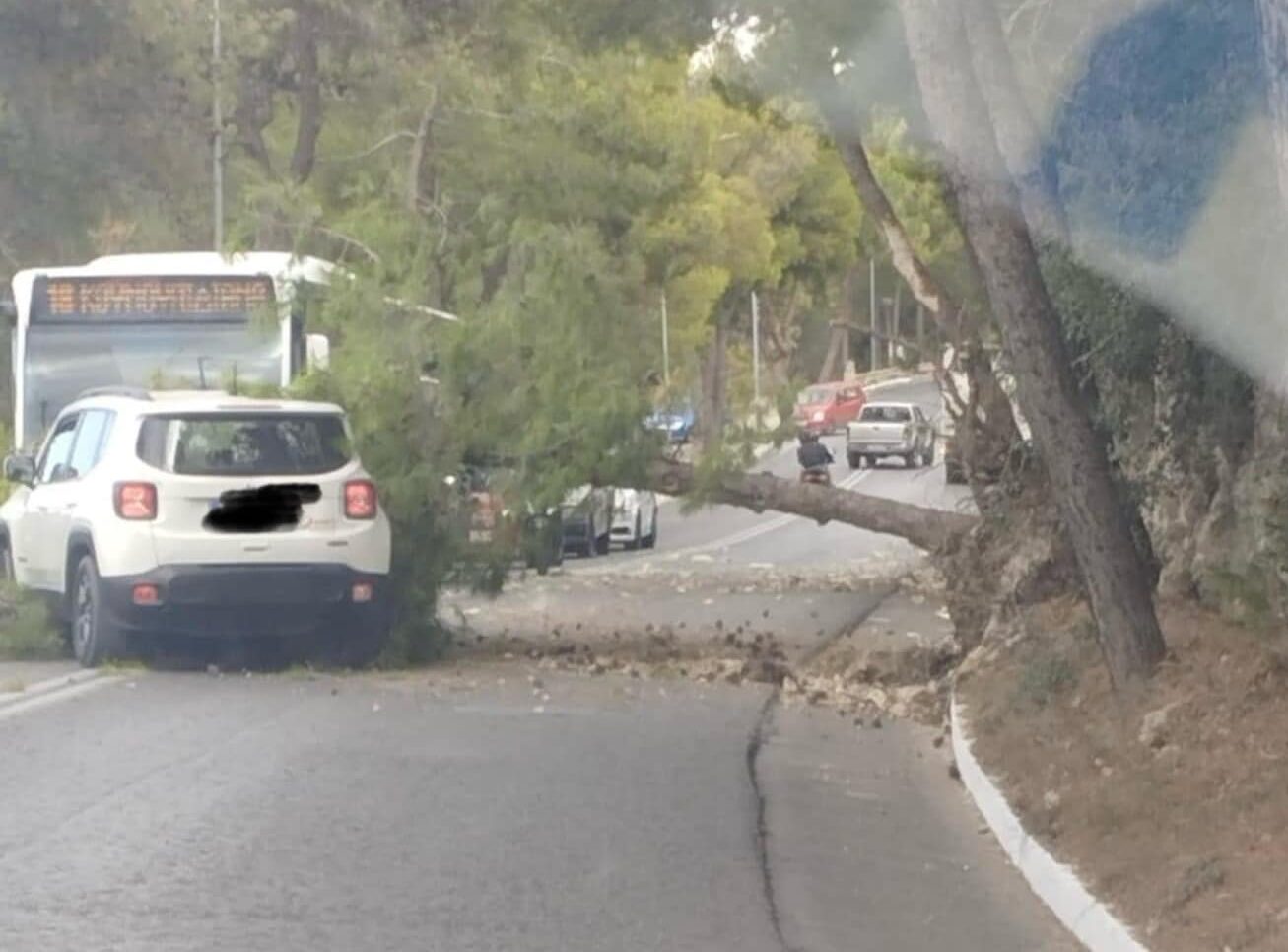 Χανιά: Κυκλοφοριακό κομφούζιο μετά από παράσυρση δέντρου από φορτηγό