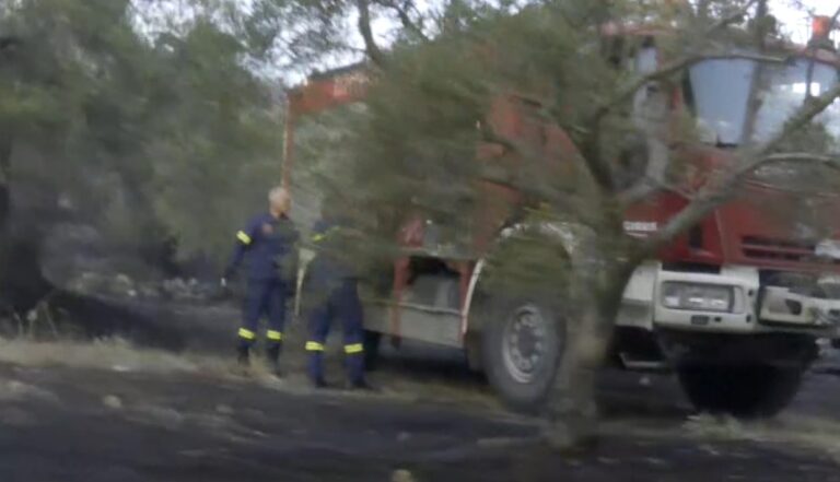 Καλύτερη η εικόνα της πυρκαγιάς στη Σιθωνία Χαλκιδικής