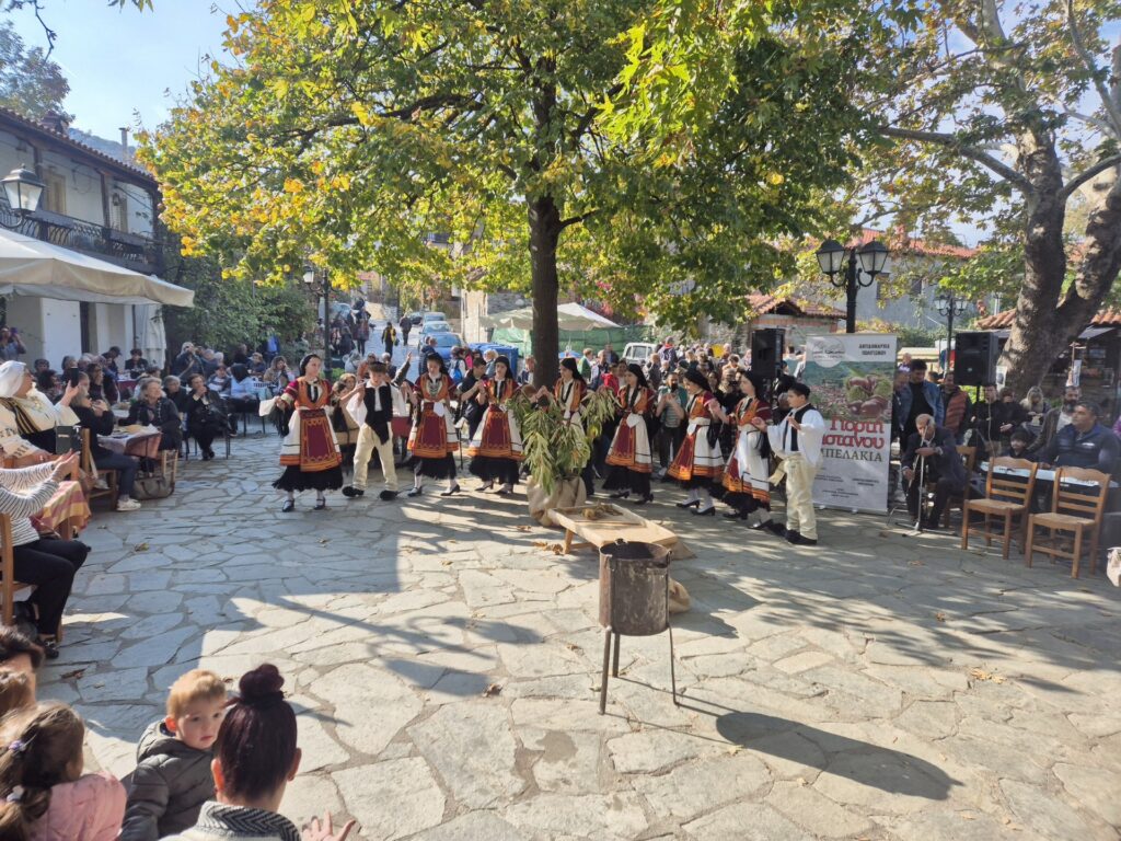 Διήμερες εκδηλώσεις στα γραφικά Αμπελάκια για το κάστανο – Τι είπε ο υφ. Αγροτικής Ανάπτυξης για τις αποζημιώσεις