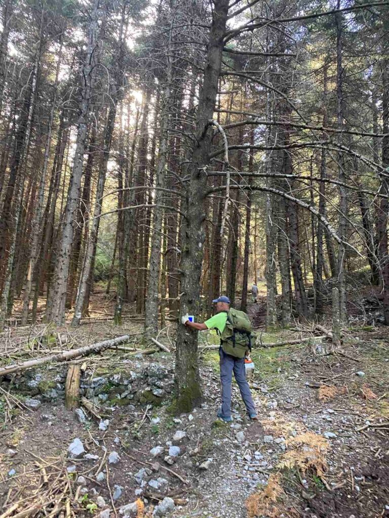 Τρίπολη: Δύο μονοπάτια του Μαινάλου σηματοδότησε ο ΣΑΟΟ