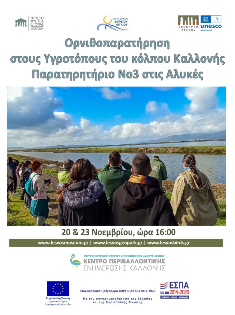 Λέσβος: Εξορμήσεις στους υγροτόπους της Καλλονής