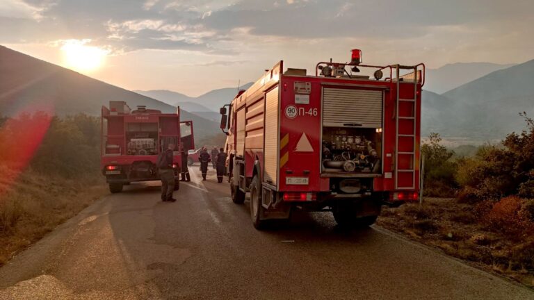 Πυρκαγιά στο Διόνυσο Κερατέας – Κοντά στον οικισμό αλλά όχι άμεσος κίνδυνος