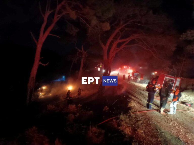 Σάμος: Κινδύνεψε δάσος από φωτιά σε ΙΧ (εικόνες)