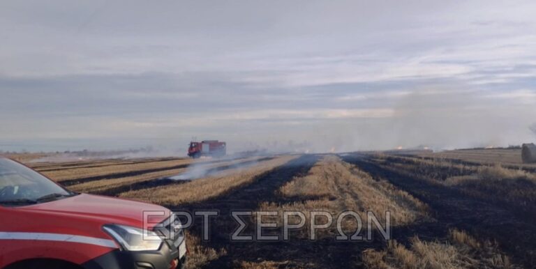 Σέρρες: Μεγάλη κινητοποίηση για φωτιά σε χωράφια –  Προσαγωγές 4 ατόμων από την Πυροσβεστική