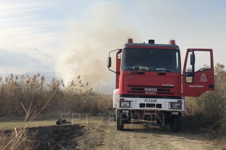 Αυστηρή σύσταση της Πυροσβεστικής Διοίκησης Θεσσαλίας για τις συνεχείς πυρκαγιές σε σιτοκαλαμιές σε χωράφια