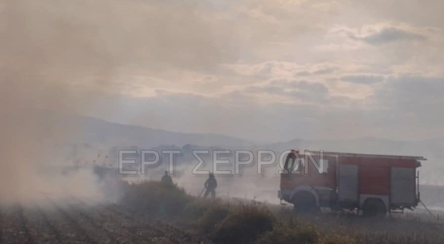 Σέρρες: Για οκτώ ώρες έσβηναν φωτιές στα χωράφια οι πυροσβέστες – Κάηκαν 1.000 στρέμματα