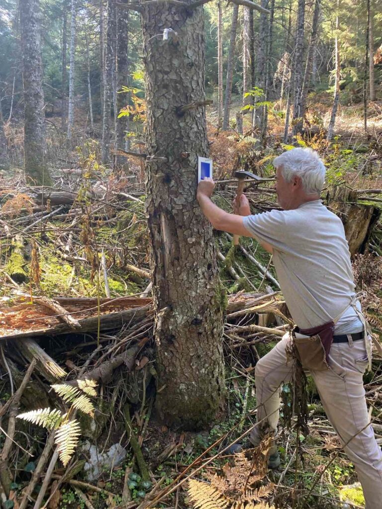 Τρίπολη: Δύο μονοπάτια του Μαινάλου σηματοδότησε ο ΣΑΟΟ