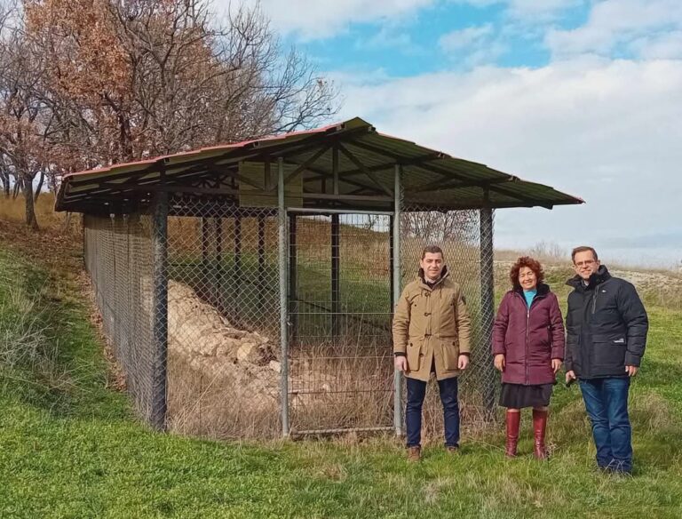 Γεωπάρκο- Απολιθωμένο Δάσος Φυλακτού: Aνασκαφές σε δύο σημεία και εργαστήριο συγκέντρωσης ευρημάτων