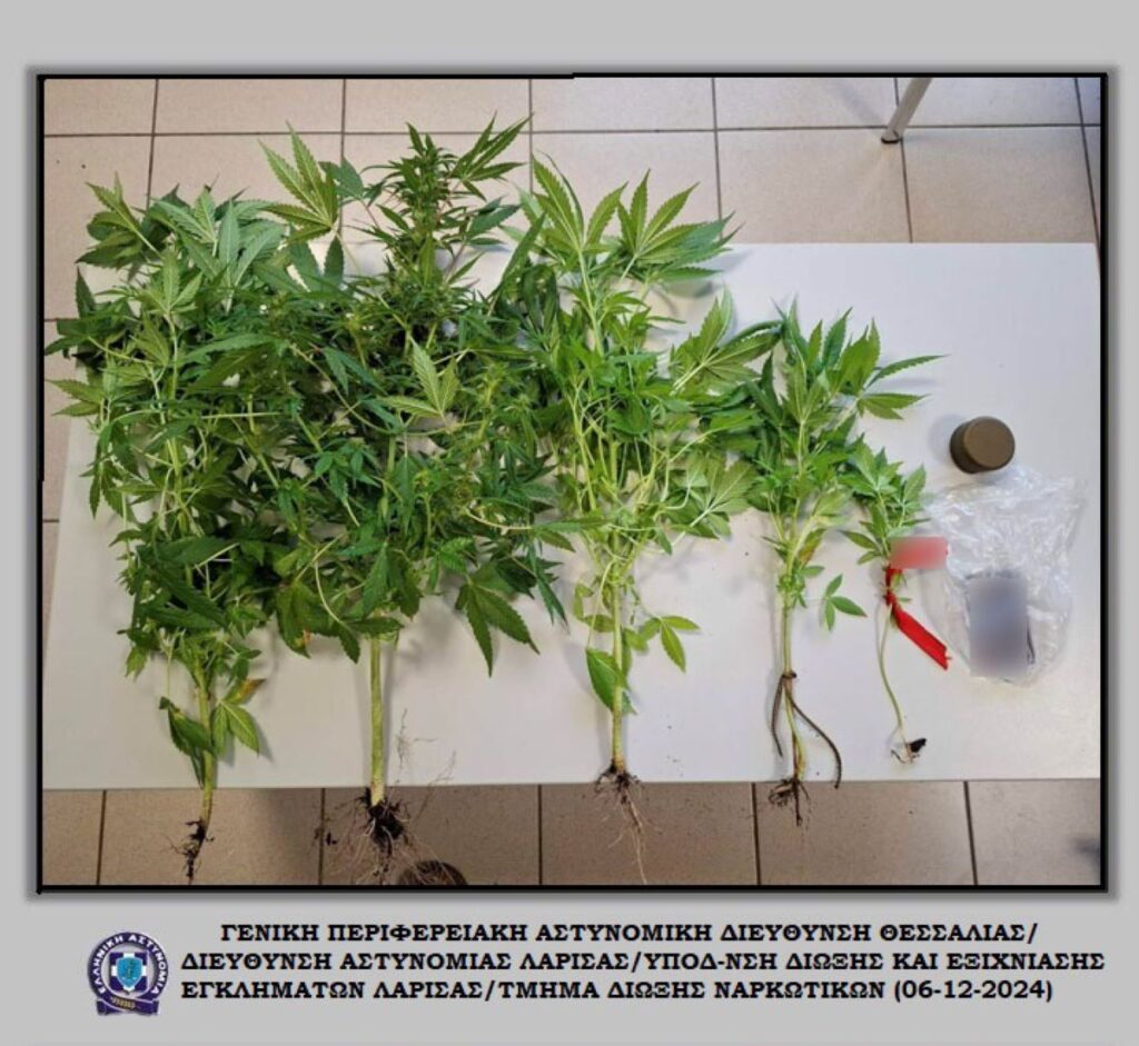 Λάρισα: Καλλιεργούσε κάνναβη στο σπίτι του