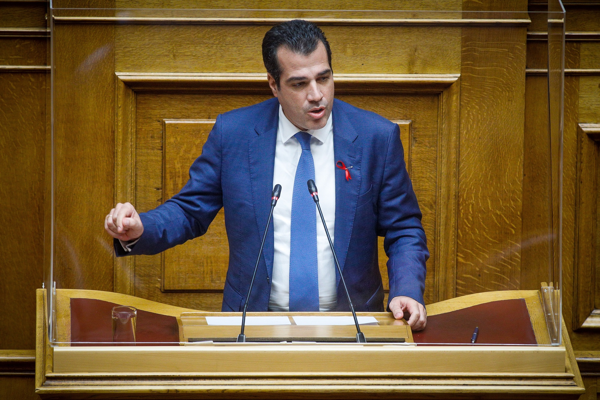 Θ. Πλεύρης: Λαϊκισμός από την Πρόεδρο της Πλεύσης Ελευθερίας για την υπόθεση του αστυνομικού