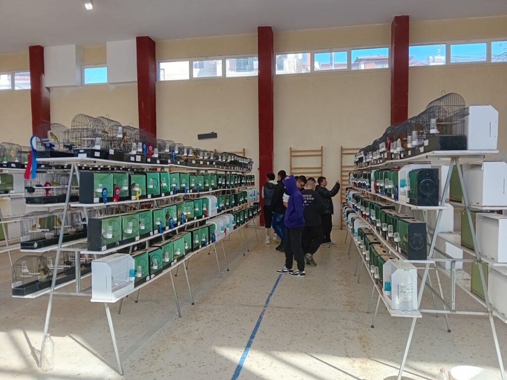Έναρξη για τον Πανελλήνιο Διαγωνισμό Πτηνών Συντροφιάς στην Ελασσόνα